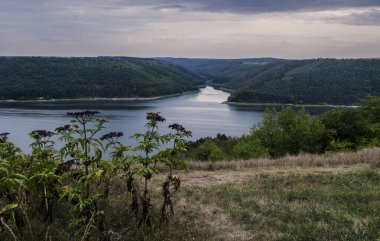 Bakota Nehri ve Ukrayna Dniester Nehri 'nin manzarası. Su basmış köyün fotoğrafı..