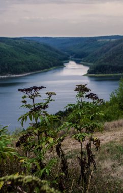 Bakota Nehri ve Ukrayna Dniester Nehri 'nin manzarası. Su basmış köyün fotoğrafı..