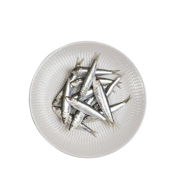 Quelques Sardines Disposées Sur Une Assiette Sur Fond Transparent — Photo