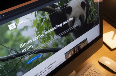 UNICEF, Birleşmiş Milletler Eğitim, Bilim ve Kültür Örgütü İnternet sayfası
