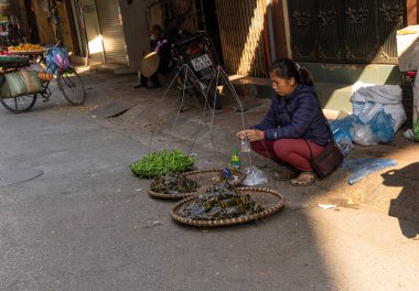 Hanoi, Vietnam, January 2023.  panoramic view of  the traditional food vendors on the  street in the city center