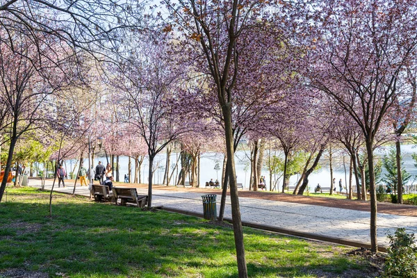 Tiran, Arnavutluk. Mart 2023 şehir merkezindeki yapay göl parkının panoramik görüntüsü.