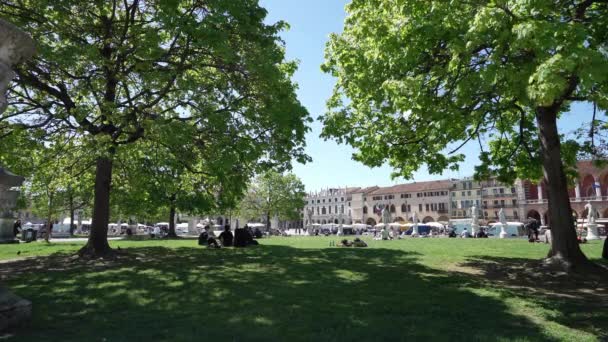 Pádua Itália Abril 2023 Pessoas Descansam Sombra Das Árvores Praça — Vídeo de Stock
