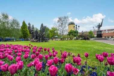 Sofya, Bulgaristan. Mayıs 2023 Georgi S. Rakovski caddesindeki parktaki renkli laleler.