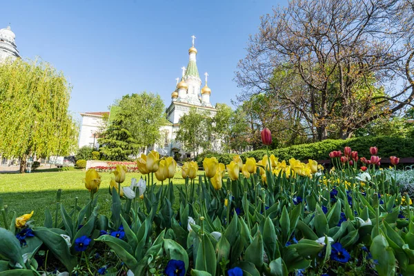 Sofia Bułgaria Maj 2023 Kolorowe Tulipany Parku Centrum Miasta Kopułami — Zdjęcie stockowe