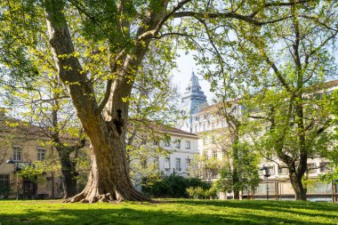 Sofya, Bulgaristan. Mayıs 2023 ilkbaharda şehir merkezindeki Royal Garden 'dan panoramik manzara.