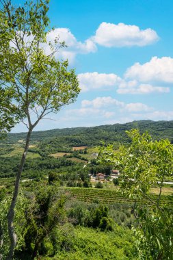 Yaz mevsiminde Istria 'nın doğal manzarası