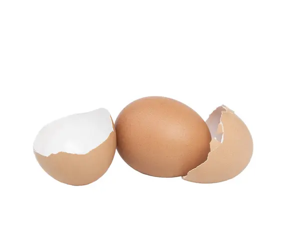 Dvojitá Skořápka Vajíčka Průhledném Pozadí — Stock fotografie