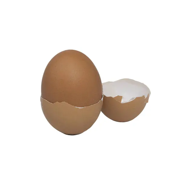Die Doppelte Schale Eines Eies Auf Transparentem Hintergrund — Stockfoto