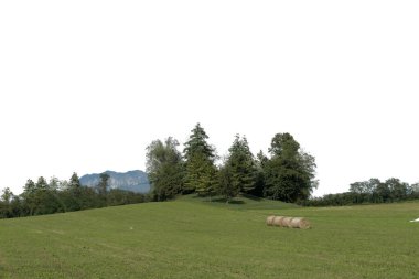 Şeffaf bir arkaplan ile kırsal manzara