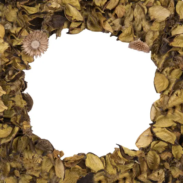 a frame of dried flowers with a transparent background