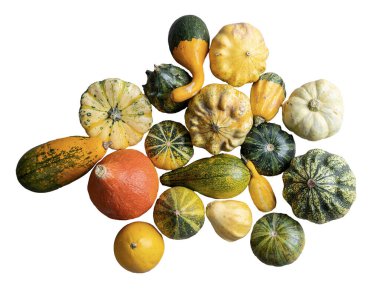 Şeffaf arkaplanda bazı küçük balkabakları