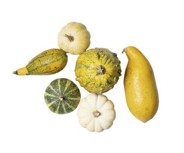 Şeffaf arkaplanda renkli balkabakları