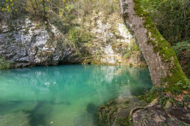 İtalya 'nın Polcenigo kentindeki Livenza Nehri' nin kaynaklarından biri olan Gorgazzo kaynak havuzunun manzarası