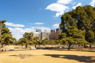 Tokyio, Japonya. 7 Ocak 2024 Kokyo Gaien Ulusal Bahçesinin panoramik görüntüsü şehir merkezinde.