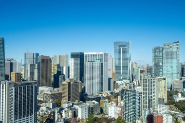 Tokyo, Japonya. 9 Ocak 2024 Tokyo Kulesi 'nden alınan panorama.