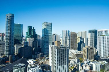 Tokyo, Japonya. 9 Ocak 2024 Tokyo Kulesi 'nden alınan panorama.