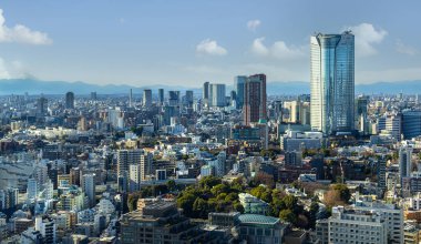 Tokyo, Japonya. 9 Ocak 2024 Tokyo Kulesi 'nden alınan panorama.