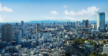 Tokyo, Japonya. 9 Ocak 2024 Tokyo Kulesi 'nden alınan panorama.