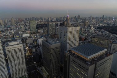 Tokyo, Japonya. 9 Ocak 2024 Tokyo Büyükşehir Hükümet Binası 'ndan gün batımında şehrin panoramik manzarası