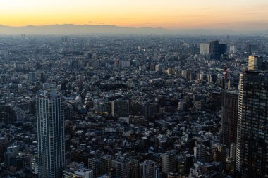 Tokyo, Japonya. 9 Ocak 2024 Tokyo Büyükşehir Hükümet Binası 'ndan gün batımında şehrin panoramik manzarası