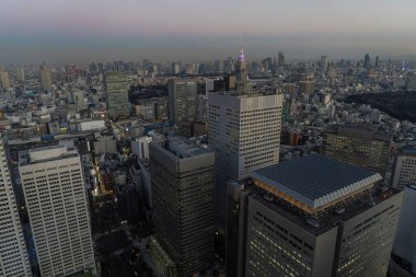 Tokyo, Japonya. 9 Ocak 2024 Tokyo Büyükşehir Hükümet Binası 'ndan gün batımında şehrin panoramik manzarası