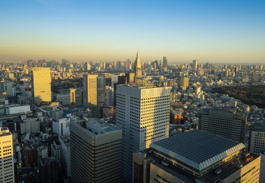 Tokyo, Japonya. 9 Ocak 2024 Tokyo Büyükşehir Hükümet Binası 'ndan gün batımında şehrin panoramik manzarası