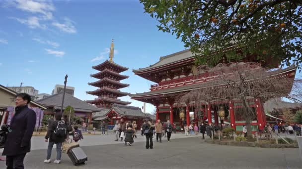 Tokyo Japonya Ocak 2024 Senso Tapınağının Girişine Doğru Ilerleyen Ziyaretçi — Stok video