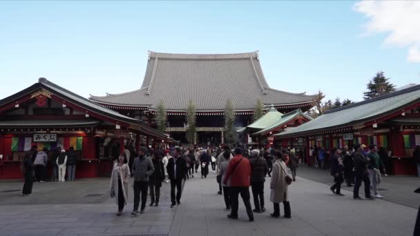 Τόκιο Ιαπωνία Ιανουαρίου 2024 Πλήθος Των Επισκεπτών Κατευθύνεται Προς Την — Αρχείο Βίντεο