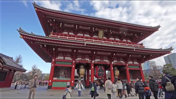 Τόκιο Ιαπωνία Ιανουαρίου 2024 Πλήθος Των Επισκεπτών Κατευθύνεται Προς Την — Αρχείο Βίντεο