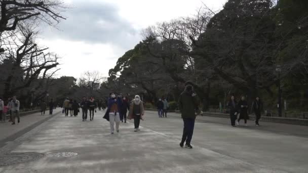 日本东京 2024年1月7日 在市中心的一个冬日 人们在雪诺公园的街道上散步 — 图库视频影像