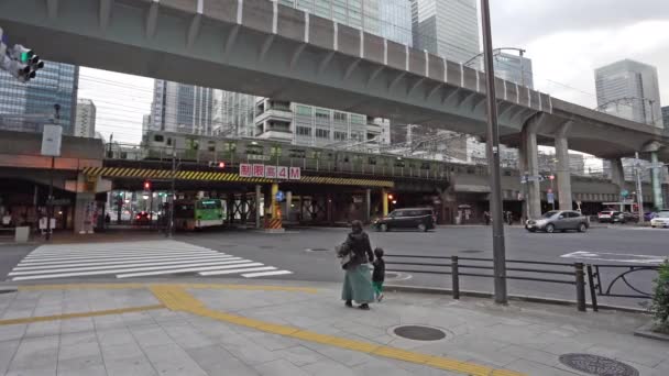 Tokyo Japonya Ocak 2024 Şehir Merkezindeki Karayolu Demiryolu Üstgeçitleri — Stok video