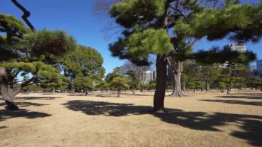 Tokyo, Japonya. 8 Ocak 2024 'te şehir merkezindeki İmparatorluk Sarayı' nın ön bahçelerinin panoramik görüntüsü.