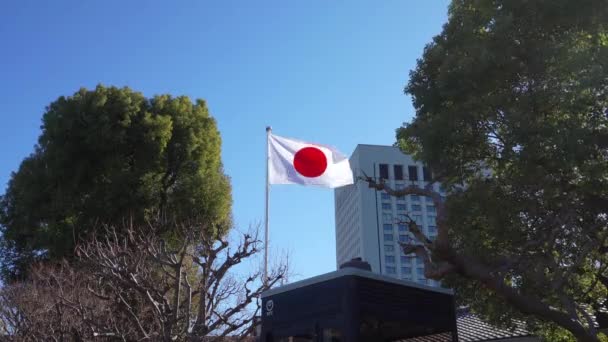 Tokyo Japan January 2024 Japanese Flag Waving Sky — Stock Video
