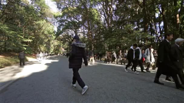 Tokio Japan Januar 2024 Besucher Auf Den Wegen Zum Meiji — Stockvideo