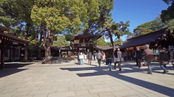 Tokyo Japonya Ocak 2024 Şehir Merkezindeki Meiji Tapınağı Nın Dışında — Stok video