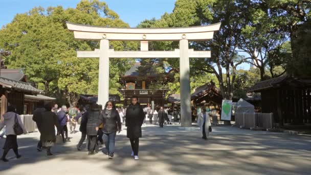 Tokyo Japonya Ocak 2024 Meiji Jingu Nino Torii Şehir Merkezindeki — Stok video