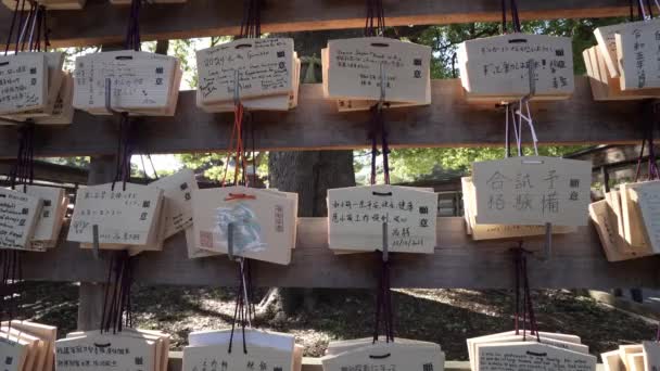 Tokyo Japonya Ocak 2024 Ema Tabletleri Ahşap Plaketler Nananların Ruhlara — Stok video