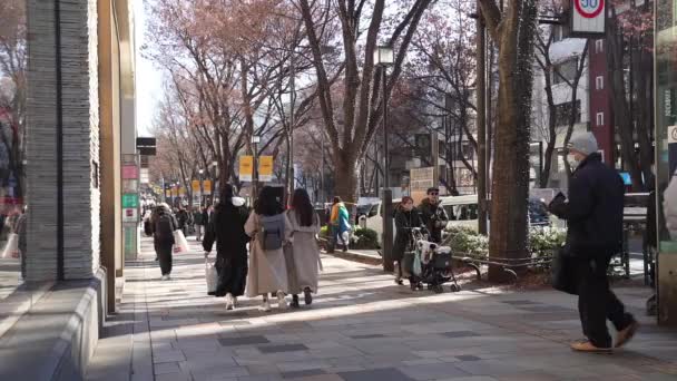 Tokyo Japan Januari 2024 Folkmassa Promenader Längs Takeshita Street Stadens — Stockvideo