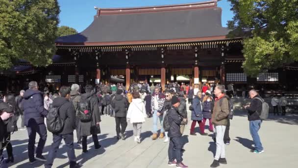 Tokio Japón Enero 2024 Visitantes Fuera Del Santuario Meiji Centro — Vídeo de stock