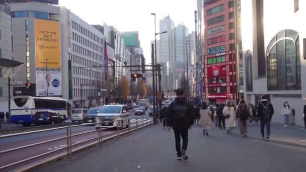 Tokio Japón Enero 2024 Multitud Caminando Largo Una Acera Del — Vídeo de stock