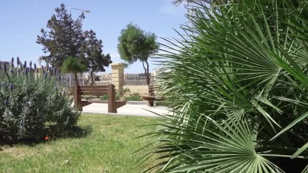 Valette Malte Avril 2024 Fontaine Entrée Des Jardins Maglio Floriana — Video