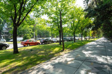 Bucarest, Romania. May 24, 2024. view of the tree-lined sidewalk along Unirii Boulevard in the city center clipart