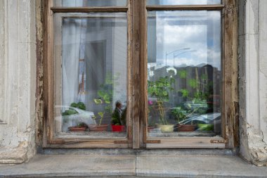 Bükreş, Romanya. 25 Mayıs 2024 'te eski bir pencerenin üzerinde bitkiler olan çömlek manzarası..