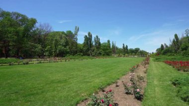 Bükreş, Romanya. 24 Mayıs 2024. Romanya Kralı I. Michael Şehir Merkezindeki Park