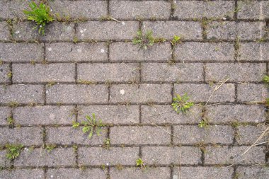 Kaldırımdaki beton kiremitlerin deseni