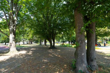 Linz, Avusturya. 12 Ağustos 2024. Şehir merkezindeki Volksgarten Parkı manzarası.