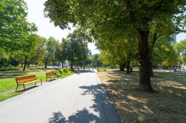 Linz, Avusturya. 12 Ağustos 2024. Şehir merkezindeki Volksgarten Parkı manzarası.