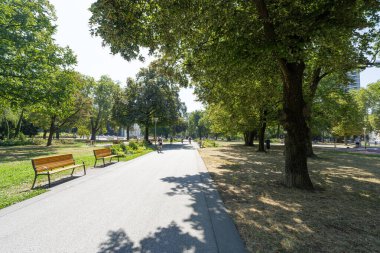 Linz, Avusturya. 12 Ağustos 2024. Şehir merkezindeki Volksgarten Parkı manzarası.