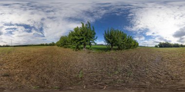 Ülkedeki bazı dut ağaçlarının sonbaharda 360 adet fotoğrafı.